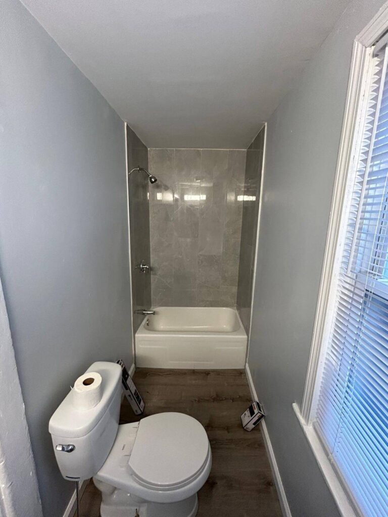 toilet and bathroom renovation